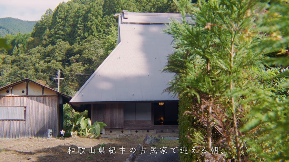 竹やぶを背にした有田川の茅葺きの古民家