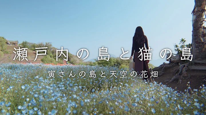 大楠と天空の花畑。瀬戸内の島暮らし。